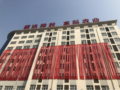 陕西第一家工厂化种植双孢蘑菇生产线在勉县建成投产